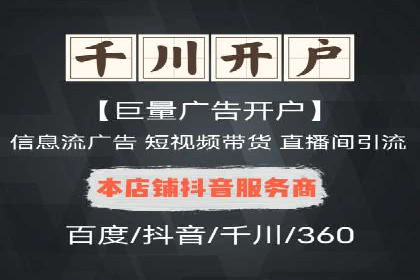 行业领先的SEM投放效果案例解析